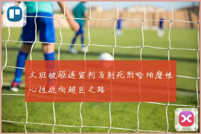 文班被驱逐宣判马刺死刑哈珀磨练心性迈向超巨之路