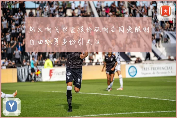 热火向戈尔金报价双向合同受限制自由球员身份引关注