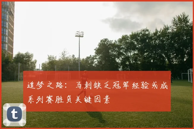 追梦之路：马刺缺乏冠军经验或成系列赛胜负关键因素
